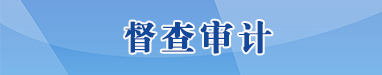 督查审计